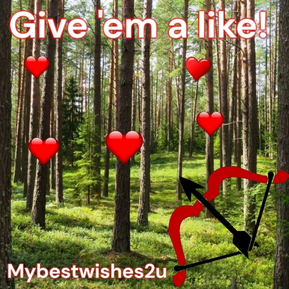 🎯Give 'em A Like❤🐻 - Picture 6 of 6